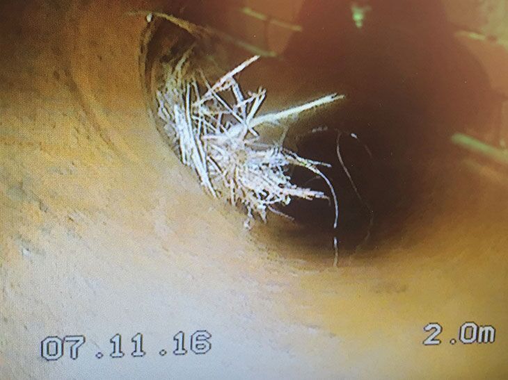 Drainage-camera