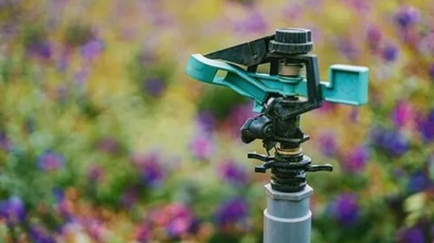 Image-9