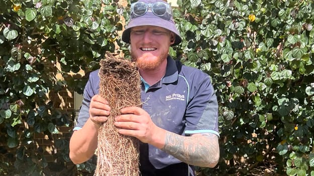 Rootx tree root control perth